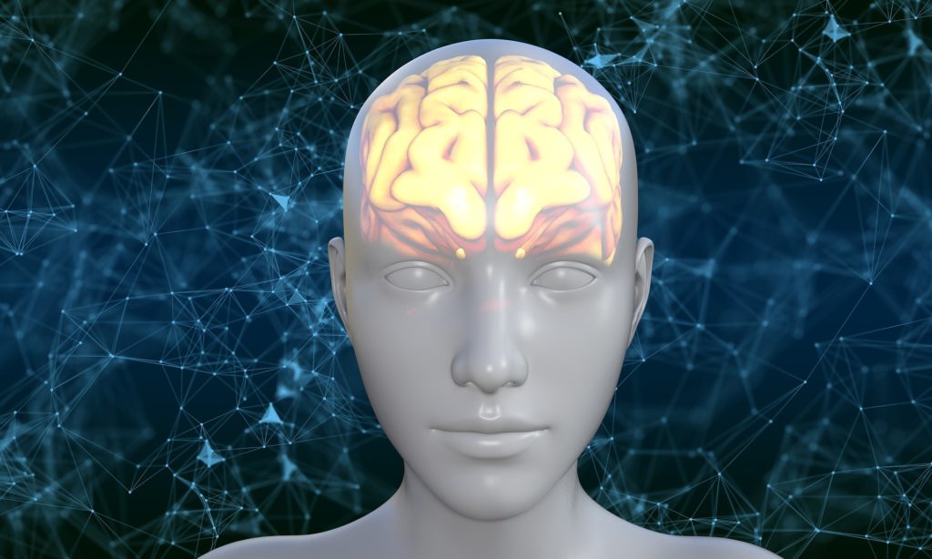 human-5937759_1920